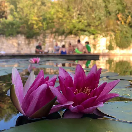 بيت للعطل Grand Les De Fallot Pour 19 Personnes - Piscine Naturelle